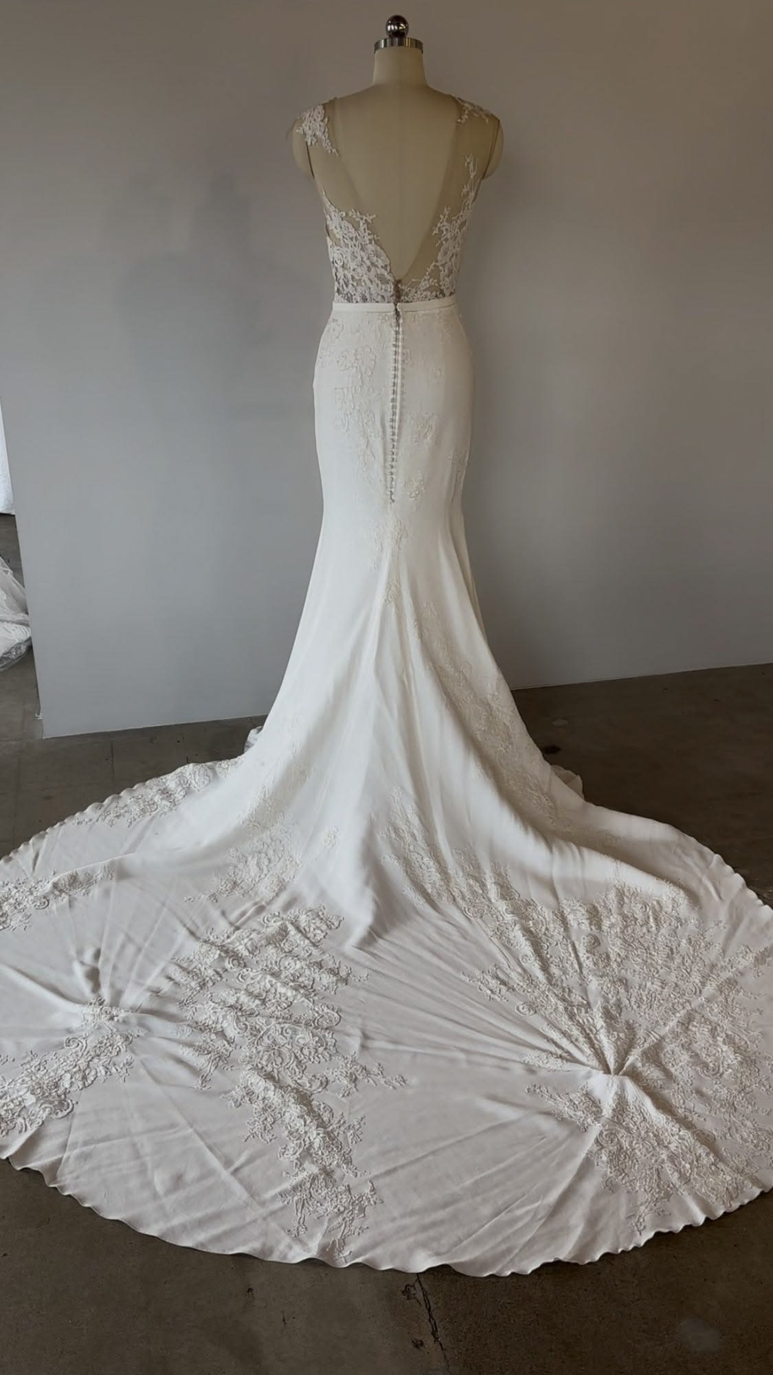 Pronovias Vicenta Gown