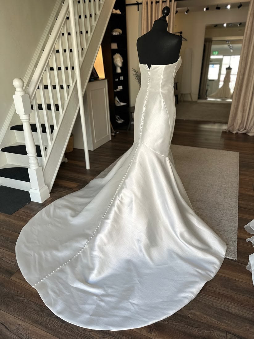 Pronovias Oberon Gown