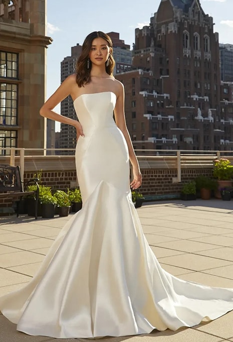 Pronovias Oberon Gown
